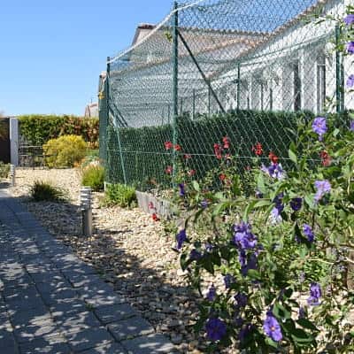 6 400x400 pension haut de gamme pour chats montpellier herault Cournonsec environnement-de-la-pension-pour-chats-montpellier-herault