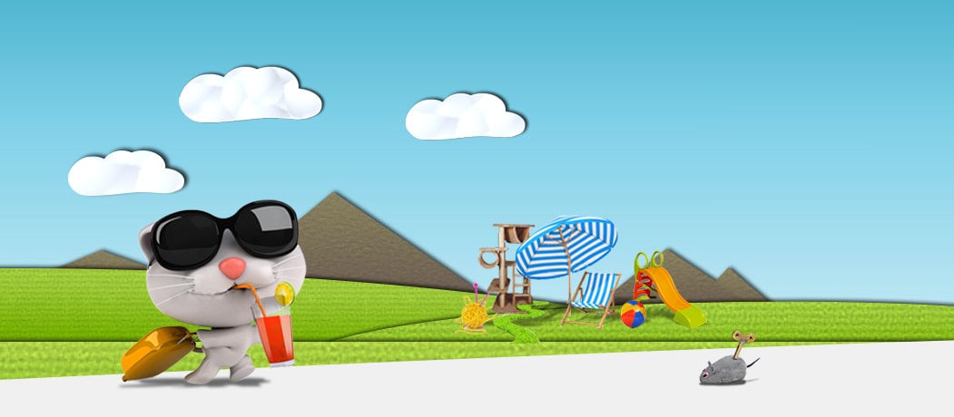 les-vacances-de-felix-pension-pour-chats-montpellier-herault les-vacances-de-felix-pension-pour-chats-montpellier-herault