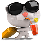 chat-en-vacances-pension-pour-chats-montpellier-herault chat-en-vacances-pension-pour-chats-montpellier-herault