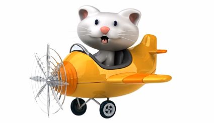 avion vacances felix pension pour chats montpellier herault avion-vacances-felix-pension-pour-chats-montpellier-herault