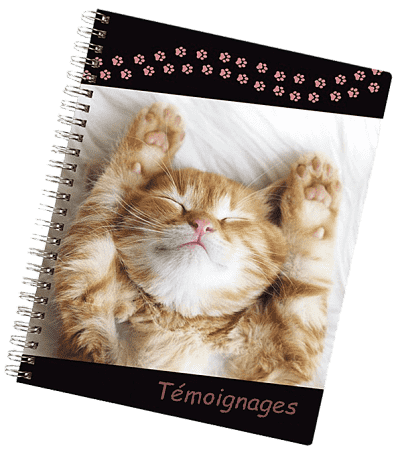 temoignages de sejour dans la pension pour chats montpellier herault temoignages-de-sejour-dans-la-pension-pour-chats-montpellier-herault